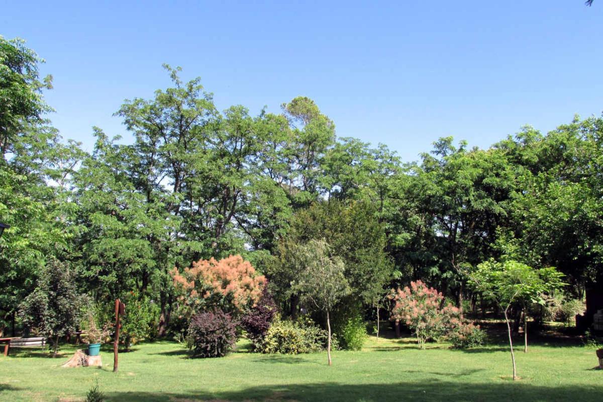 Отель Luna Cautiva Casa De Campo Санта-Роса-де-Каламучита Экстерьер фото